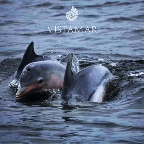 Villagio Vistamar Ilha Comprida Exterior foto